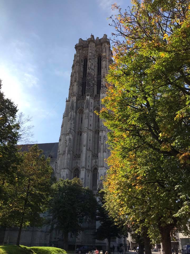 41682385_10156628018663119_1964965684156825600_n