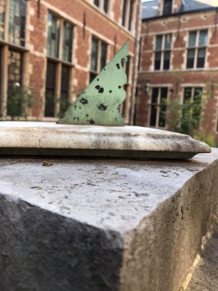 41702482_10156627978938119_3595336145891753984_n_10156627978913119